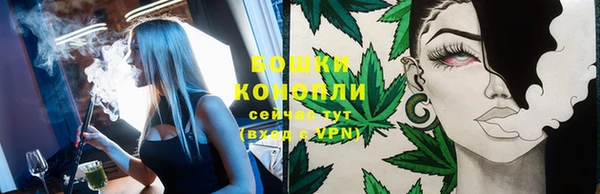 ГАЛЛЮЦИНОГЕННЫЕ ГРИБЫ Бронницы