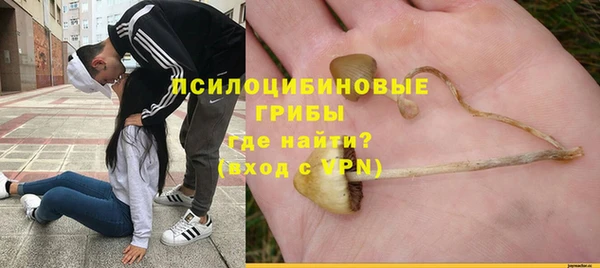 ГАЛЛЮЦИНОГЕННЫЕ ГРИБЫ Бронницы