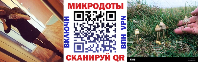 Псилоцибиновые грибы Psilocybe  Купить  Коркино 